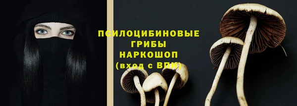 СК Верея