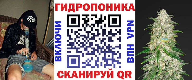 Купить закладки  Тотьма  Бошки марихуана THC 21% 